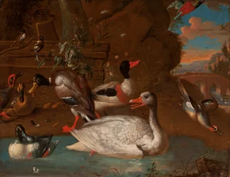 Una oca blanca noruega rodeada de un tarro blanco, un ánade real, cucharas comunes, cercetas comunes y mitos en un paisaje italianizante al crepúsculo, 1703